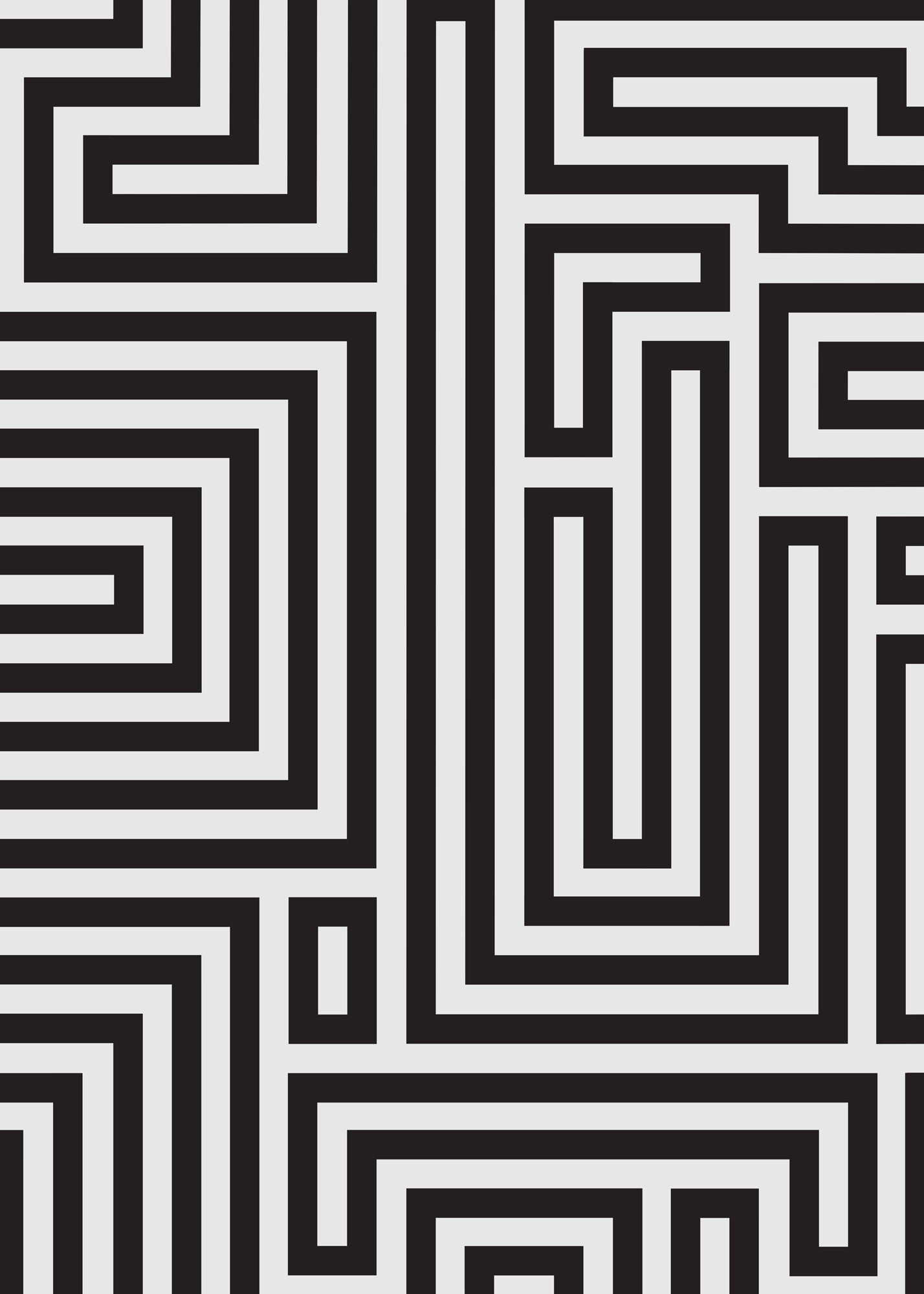 Custom Maze Large Vinyl Photography Backdrop by Club Backdrops