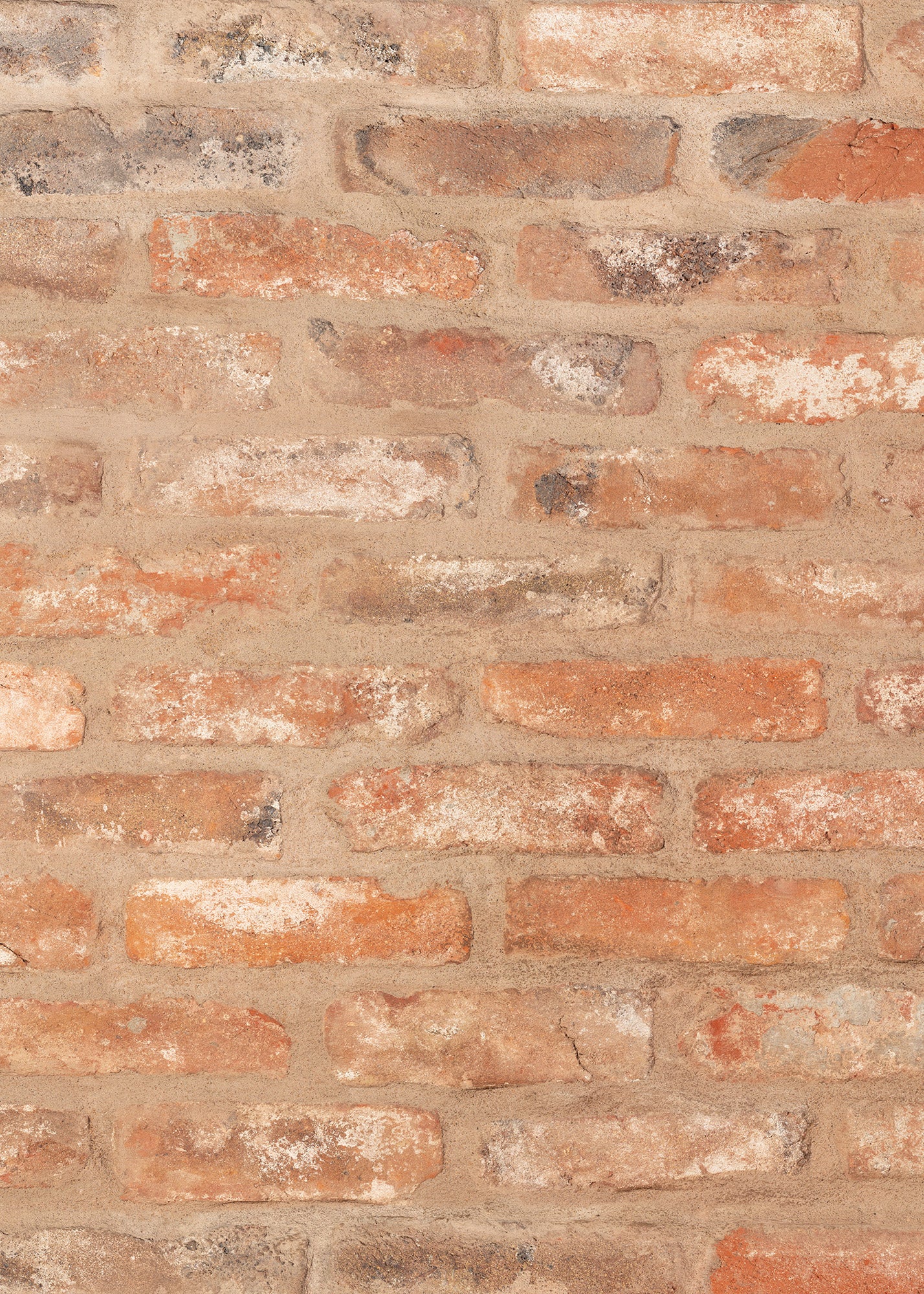 Red Brick Vinyl Backdrop for Product & Food Photography – Club Backdrops